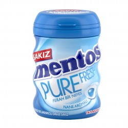 Mentos Pure Fresh Nane Aromalı Draje Sakız 60 G