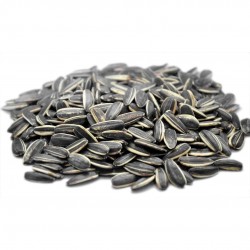 Açık Çekirdek 300 gr 