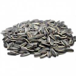 Açık Çekirdek 550 gr 