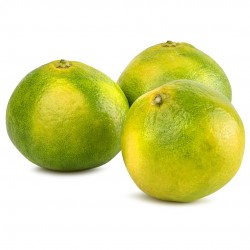 Mandalina 1 Kg