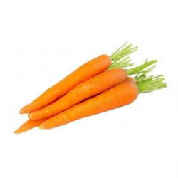 Havuç 1 kg