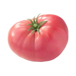 Pembe Domates 1000 G